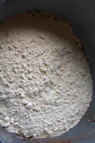 Canon EOS REBEL T3067