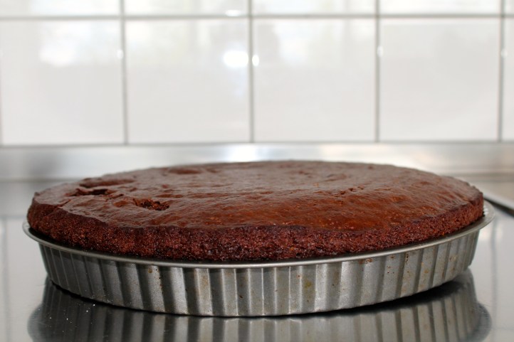 Canon EOS REBEL T3096